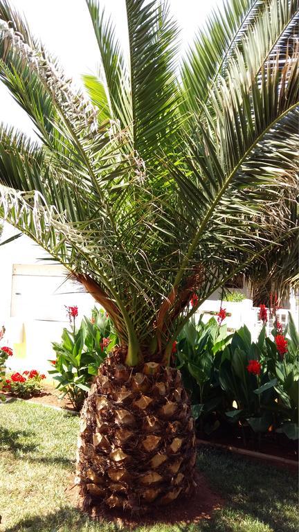 Apartments Vila Ana Vir Luaran gambar
