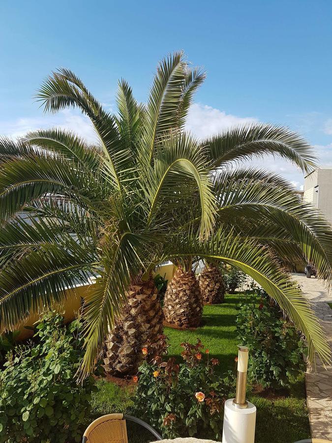 Apartments Vila Ana Vir Luaran gambar